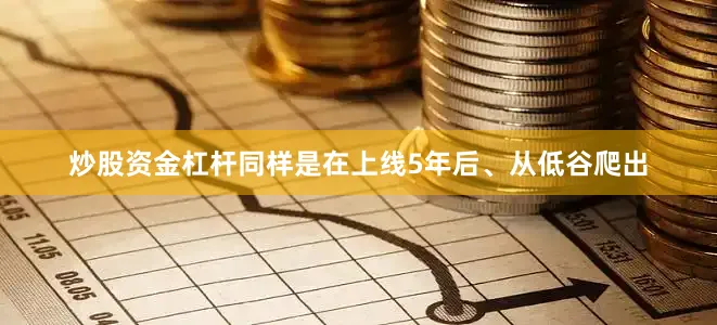 炒股资金杠杆同样是在上线5年后、从低谷爬出
